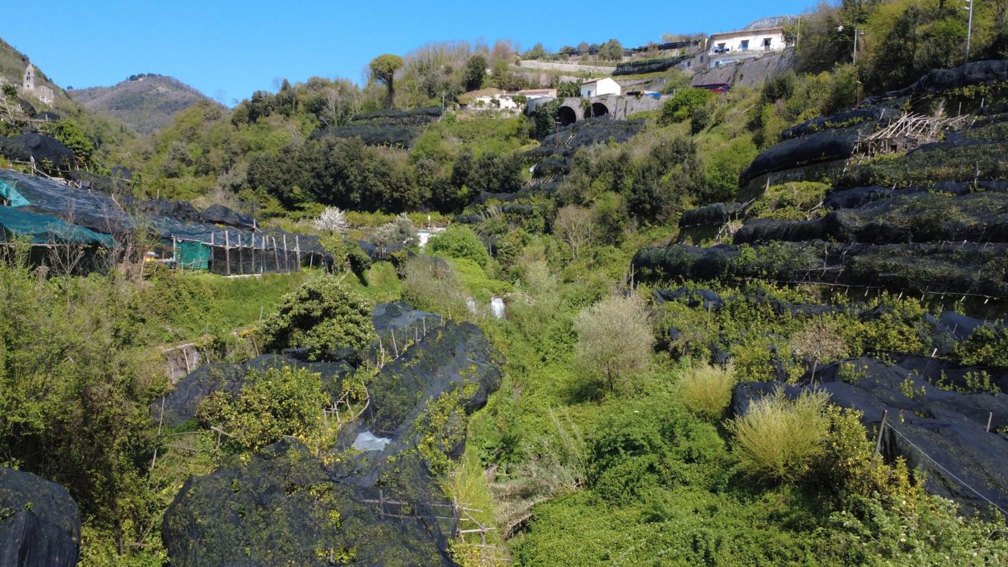 Apartmán Antica Cartiera Sant'Elia Tramonti Exteriér fotografie